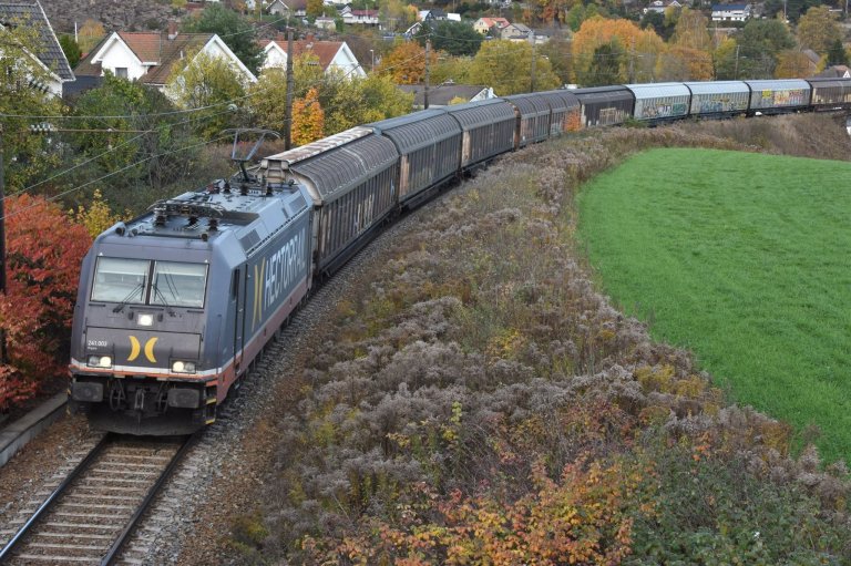 Train on a railway surrounded by houses, bushes and green grass